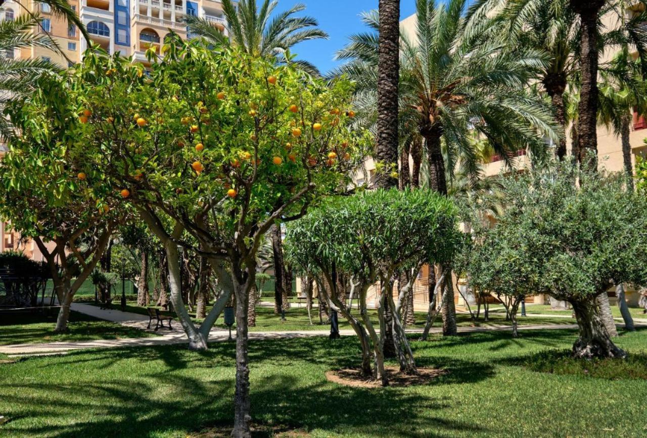Casa Del Buho Apartment Torrevieja Exterior photo