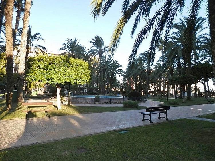 Casa Del Buho Apartment Torrevieja Exterior photo